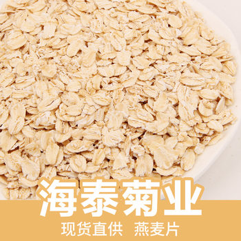 Manufacturer Wholesale Pure Oatmeal Baked Oatmeal Bulk 500g Oatmeal Substitute Breakfast Australian Oatmeal