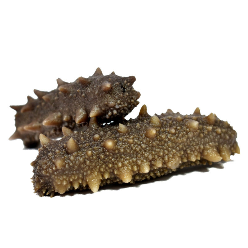 Manufacturer Supplies Changdao Ready-To-Eat Sea Cucumber, Frozen and Individually Packaged, Fresh and Chewy Sea Cucumber Wholesale and Customization