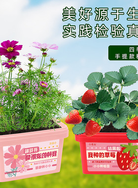 幼儿园种植园绿植盆栽