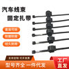 Fixed Cable Ties, Pipe Clamp Cable Ties, Pipe Clamp Cable Ties, Black 15600689 |   T30Roc1A