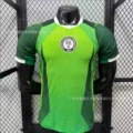 Player version - nigeria home jersey