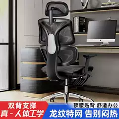 Office Chair, Ergonomic Chair for Long Periods of Sitting, Mesh Chair, Home Computer Chair, Staff Chair, Gaming Chair, Waist-Protecting Swivel Chair