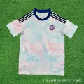 2627 costa rica away