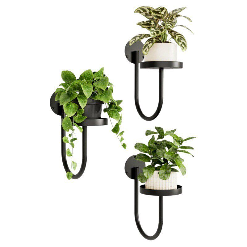 跨境亚马逊Temu室内植物架上墙花架绿萝墙上装饰烛台旋转拆装支架