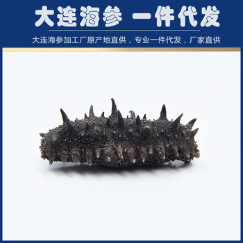 [Sea Cucumber Factory] Wholesale Light Dried Sea Cucumber Liao Sea Cucumber Dry Goods Manufacturer Dried Sea Cucumber One Piece Drop Shipping 50g