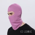 CC-22 purple