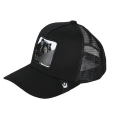 Panther Black