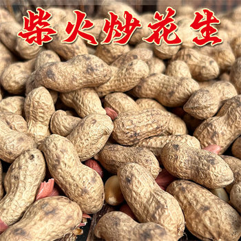 Roasted Original Peanuts with Shells, Red-Skinned Peanuts, Stir-Fried in a Cast Iron Pan, Unsalted Snacks, Wine, Tea, and Firewood