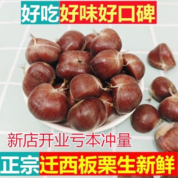 Fresh Qianxi Raw Chestnuts, Fresh Chestnuts, Authentic Large Hebei Tangshan Fresh Wild Oil Chestnuts, Wholesale Board