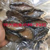 Wholesale Abalone Meat, Shelled and Processed, Frozen Abalone Pellets, Dongshan Island Seafood, Direct Delivery from the Origin, Can Be Shipped in One Piece