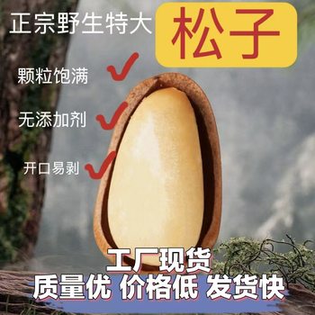 Manufacturer Wholesale Northeastern Pine Nuts, Hand-Peeled Pine Nuts, Canned Large Pine Nuts, New Nuts, New Year Snacks