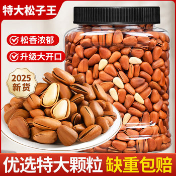 Northeast Pine Nuts 2025 New Arrival 500g Hand-Peeled Pine Nuts Extra Large Open Pine Nuts Snack Food Specialty Nuts
