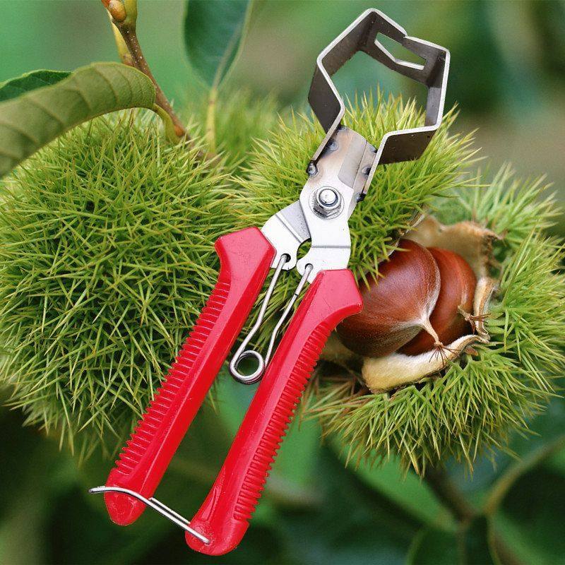 Grape and Lychee Fruit Picking Scissors, Pruning and Flower Pruning Scissors, Gardening Tools, Fruit Pruning Scissors