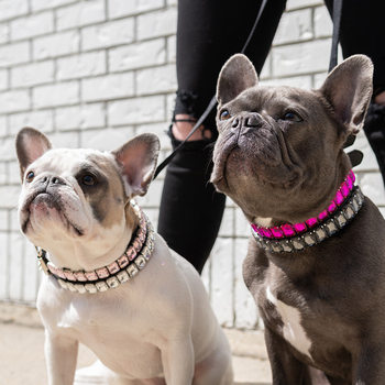 Luxury dog collar rhinestone PU leather adjustable collar cat dog necklace Diamond luxury pet jewelry