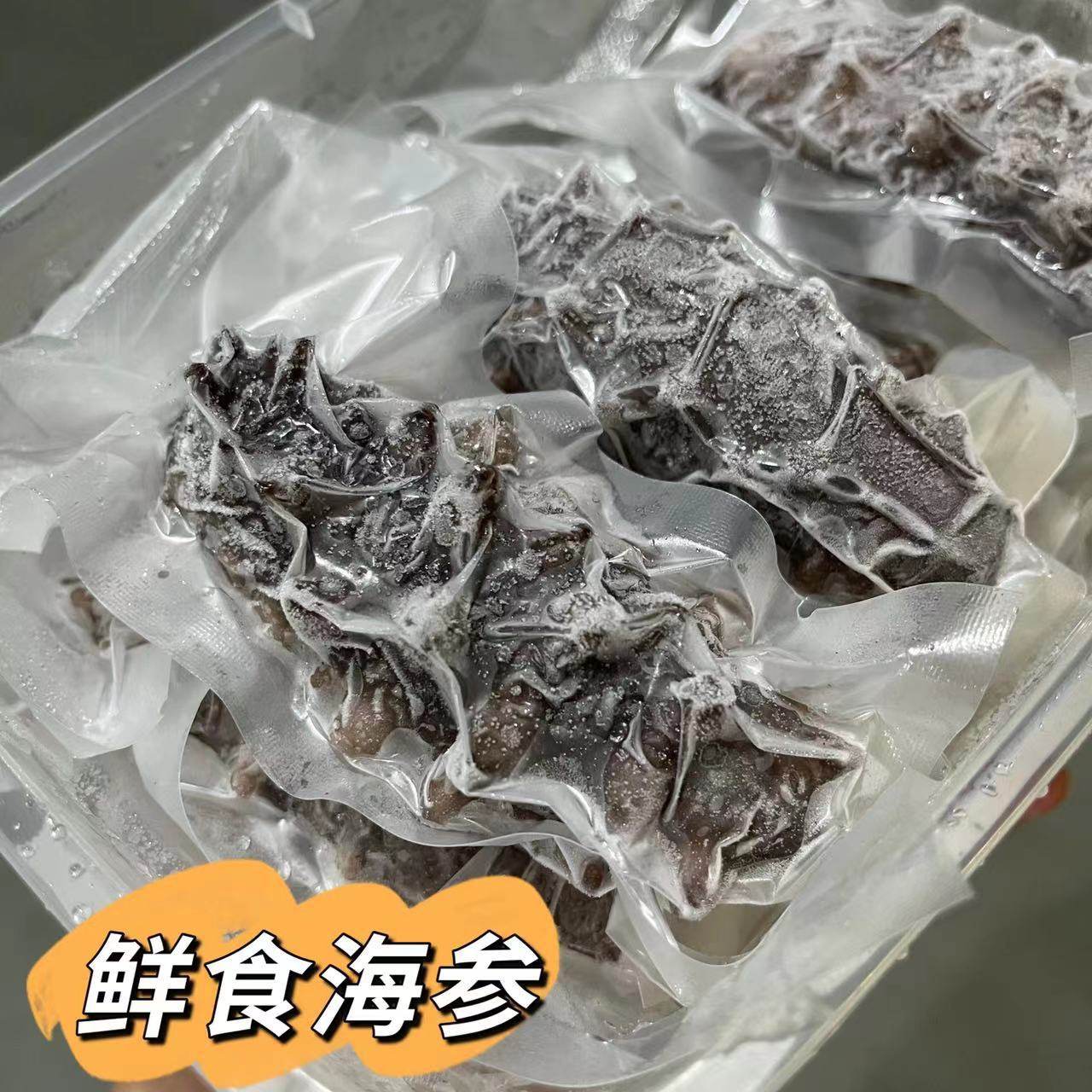 Guofude Fresh Sea Cucumber Ready-To-Eat Source Factory Wholesale Large Stock 500g Sea Cucumber
