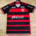 Flamengo home court