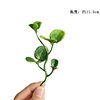 Artificial Plant Accessories Pine Needles Phoenix Artificial Flowers Green Plants Decoration Artificial Flowers Plastic Grass Decoration Bonsai