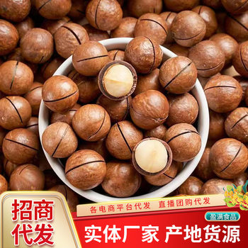 Macadamia Nuts 250g New Arrival Large Particle Milk Flavor Original Nut Snacks Wholesale Macadamia Nuts