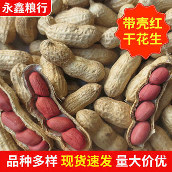 Large Quantity Wholesale Northeast Four Red Peanuts Boiled Shelled Red-skinned Dried Peanuts Raw Fruits Shelled Raw Peanuts New Arrival
