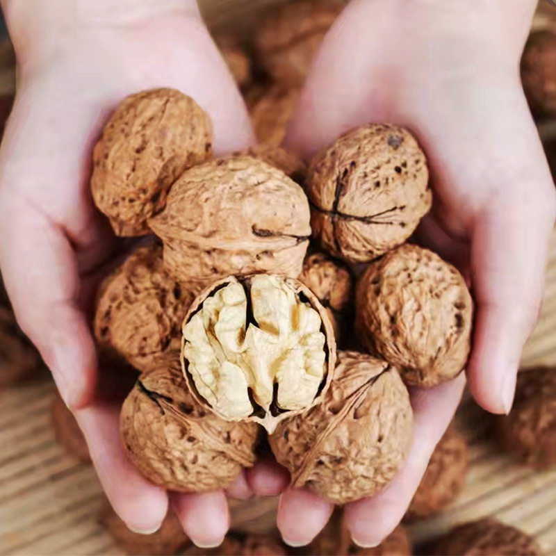 Yunnan Walnuts, Hemp Fruits, Walnuts, Wholesale Manufacturers, Straight Hair, Thin-Skinned Walnuts, Walnuts, Export Business Inspection