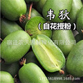seller product image