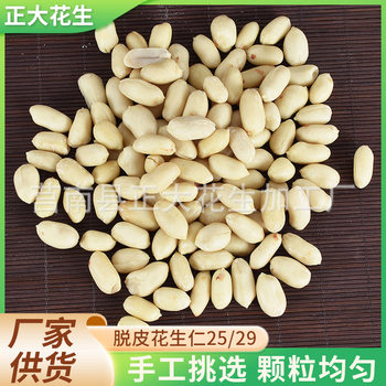 Peeled Peanut Kernels 25/29 Shandong Peeled Peanut Kernels Exported Peeled Peanuts Milky White Peeled Peanut Series