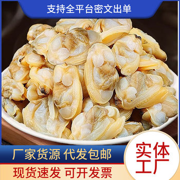 Fresh Clam Meat, Live Clam Meat, Fresh Shellfish, Sand-Free Seafood, Non-Dried Goods, Ready-To-Eat