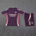 2425 arsenal purple