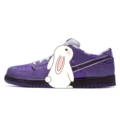 Purple lobster blackcurrant purple bv1310-555
