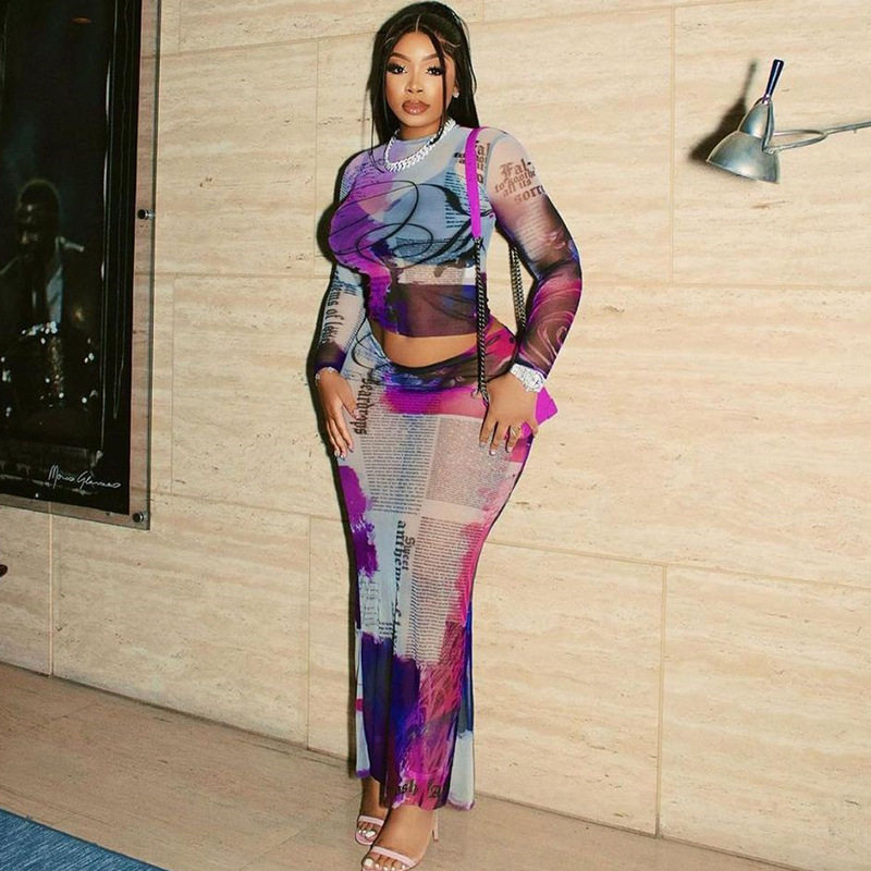 Sheer Mesh Two Piece Set Round Neck Long Sleeve Floral Print Bodycon Skirt Fashionable for Parties or Night Out