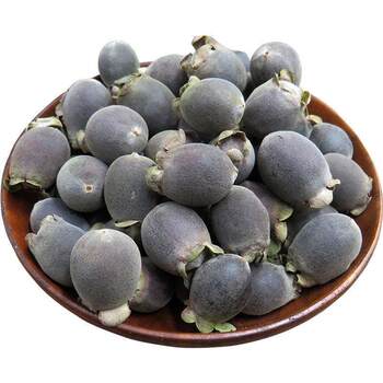 Gang Twist Dried Twist Fruit Fresh Guangxi Mountain Twist Dried Wild Myrtle Health Nourishing Twist Pickling Wine