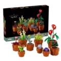 Mini potted plants