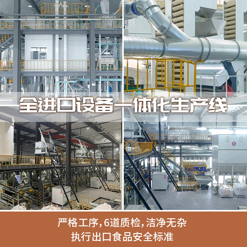 New goods Northeast Pine nuts large particles original flavor Cedar Red Pine Yunnan open pine nuts bulk wholesale nuts pine nuts