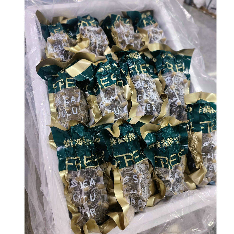 Authentic Dalian Ready-To-Eat Sea Cucumber, Not Dried, Chewy Texture, Fresh Steamed Sea Cucumber, Ready-To-Eat Gift Box, Frozen Sea Cucumber