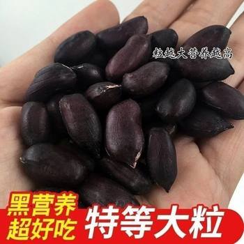 Premium Selenium-Rich Black Peanuts, Black Peanut Seeds, Wholesale Farm-Grown Natural Sun-Dried Purple-Skinned Peanuts