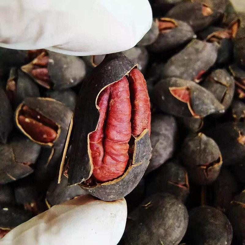 New Black Gold Cracked Pecan Nut Snacks Longevity Fruit Non-Crushed Dried Fruit New Canned Goods