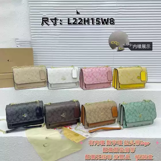 C Bag Cross-border Hot Selling Square Bag Fashionable All-match Tofu Foreign Trade Explosions Chain Bag high quality Women's Bag Crossbody Bag