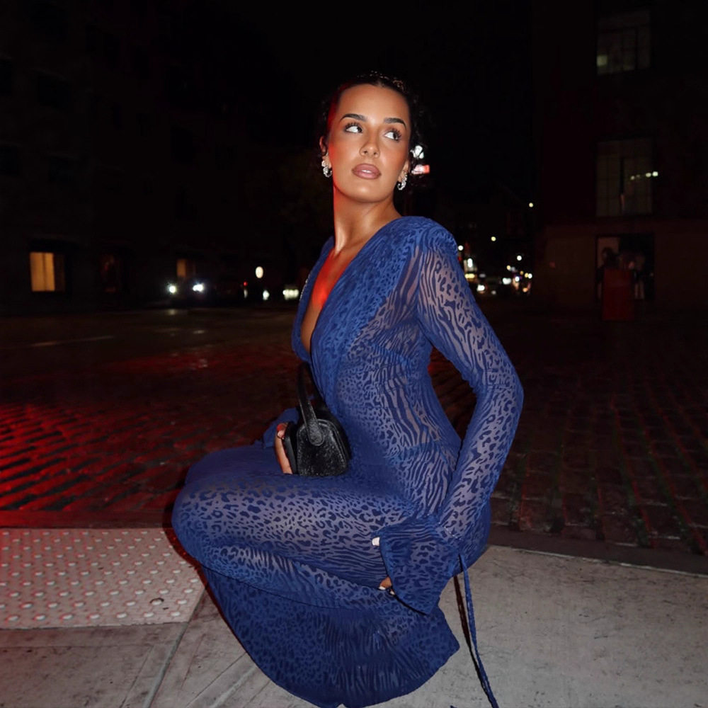 Blue Leopard Print Sheer Mesh Dress Deep V Neck Fashionable Design Sexy Silhouette Perfect for Parties and Night Out