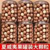 Macadamia Nut Milk, Creamy New Arrival, Healthy Pregnancy Dried Nuts, Largest Fruit Macadamia Nuts
