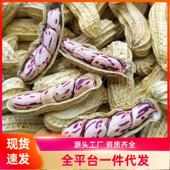 Colorful Peanuts with Shells Sun-Dried 2025 New Peanuts Cooked Original Wild Field Colorful Peanuts