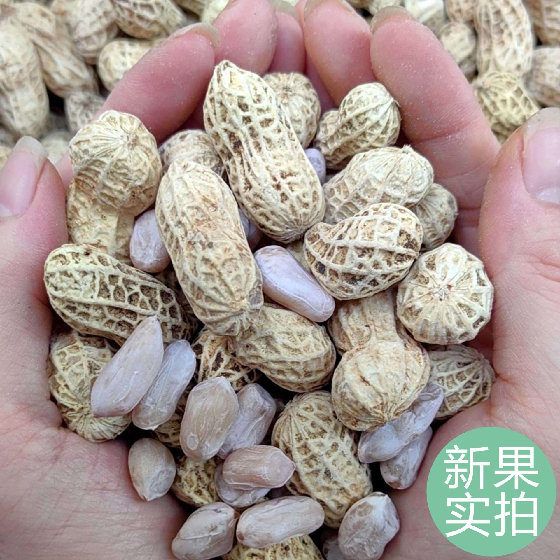 Salted Dried Boiled Peanuts, Sun-Dried Original Flavor, White Sun-Dried Salty Sun-Dried Shelled Peanuts, Non-Irritating Guanglongyan Peanut Snacks