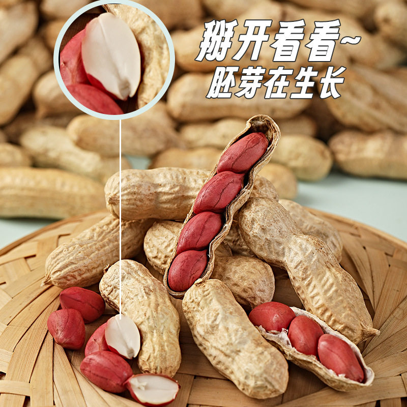 Red-Skinned Peanuts 2025 New Farm Goods Without Shells, Freshly Sun-Dried, Four Red Peanuts, Raw or Cooked Optional