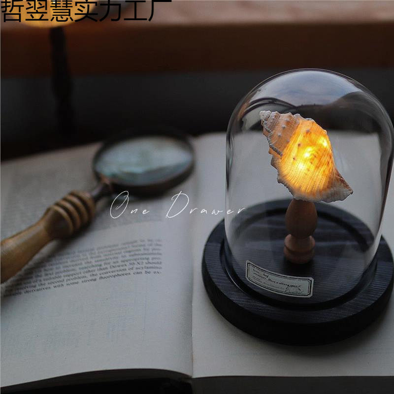 Gift Sea Urchin Mid-Autumn Festival Retro Lamp Night Light Handmade DIY Material Shell Conch Ornaments Ocean Bag Island