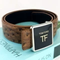 Silver buckle brown belt