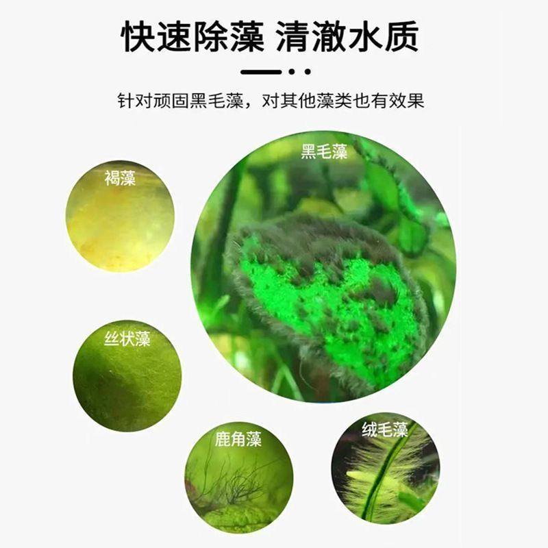Algae Removal Powder Fish Tank Algae Remover for Koi Fish Pond to Remove Moss and Algae, Purify Water Quality, Specifically for Aquarium Green Algae