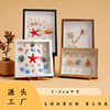 Stereo Hollow Photo Frame Specimen Frame DIY Handmade Table Seaside Shell Conch Dried Flower Display Picture Frame Memorial