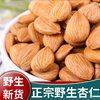Authentic Wild Almonds New Chinese Medicinal Materials 500g Authentic Mountain Almonds Northern Almonds Almonds Peeled Bitter Almonds with Skin