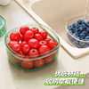 Household Transparent Fruit Drain Box Outdoor Portable Outgoing Food Grade Storage Box Refrigerator Refrigerating Box with Lid