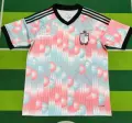 2627 Belgium away game