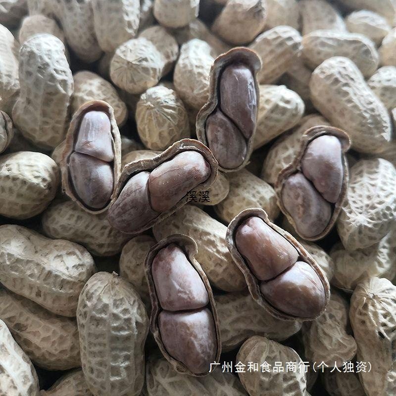 Fujian Longyan Peanut Shelled Garlic Salty Dried Five-spiced Original Salt Water White Boil Peanut Cooked Fried Snacks